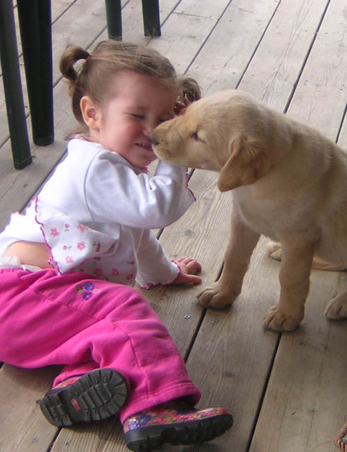 daisy_kisses.jpg